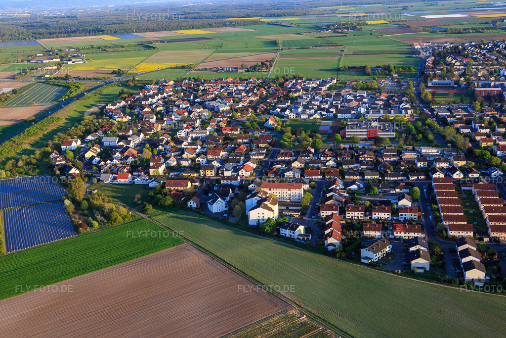 Luftbild: Frankensteiner Straße in Gernsheim im Bundesland Hessen in Deutschland. Foto: IMG_077737.jpg vom 23.04.2015 durch Werner Riehm/FLY-FOTO.de