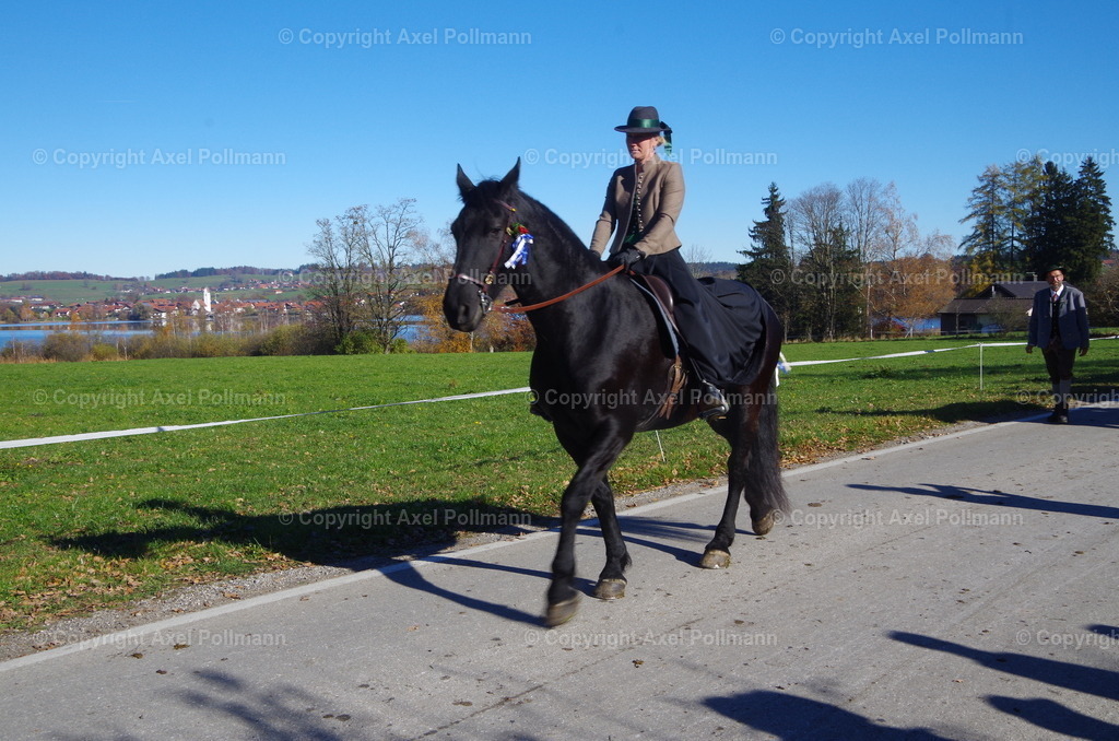 IMGP8314 | fotografiert von Axel PollmannLeonhardi Wallfahrt Benediktbeuern und Murnau, Fronleichnam, Fasching, Landschaft im Loisachtal und Benediktbeuern  - Realisiert mit Pictrs.com