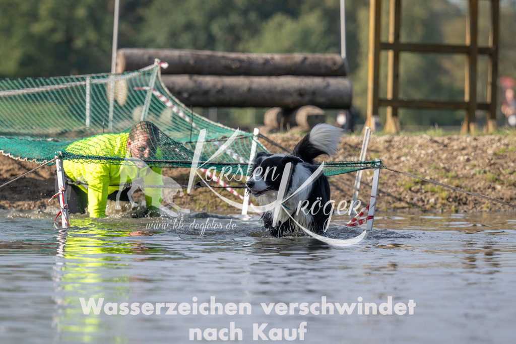 1037_ZZ94216 | kk-dogfotos