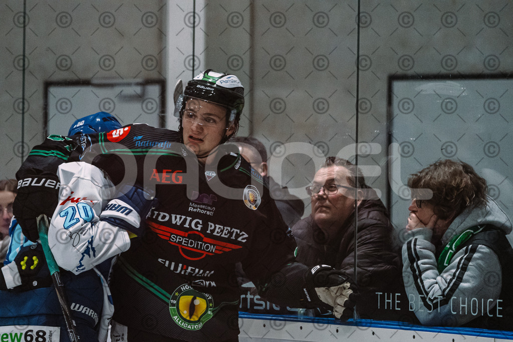 Alligators_vs_Riessersee_03_02_2026-41 | Höchstadt Alligators Fotogalerie: Eishockey-Action aus Franken. Professionelle Spielfotos, Portraits & Stadionbilder zum Download. Jetzt entdecken! - Realisiert mit Pictrs.com