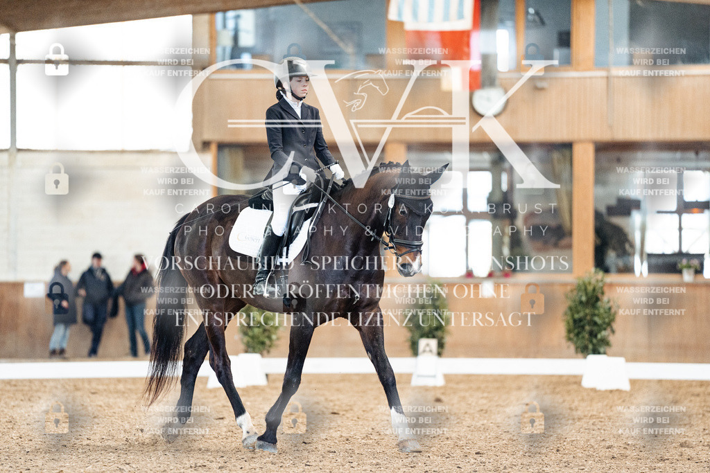CK909827 | Turnierfotografie Pferdefotografie Trier Rheinland-Pfalz Pferdesport Reitsport Tierfotografie Sportfotografie Pferdevideo Pferdevideografie Equestrianvideography equestrianphotography  - Realisiert mit Pictrs.com