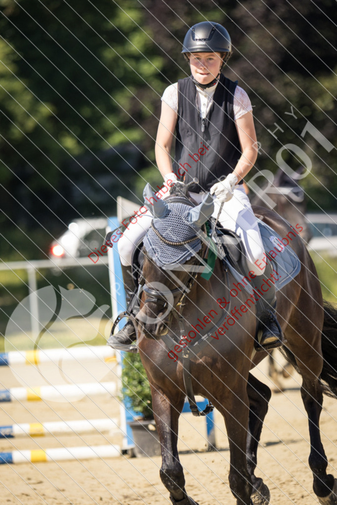 IMG_3628 | Sport-, Event- und Tierfotos in Profiqualität. Einfach auswählen, bestellen und herunterladen. Dein Moment – perfekt festgehalten.