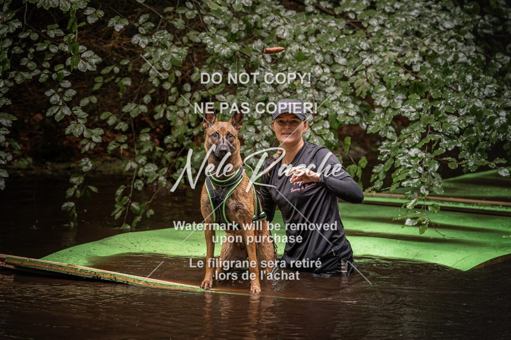 nelerasche_Wingst_Sa1330-1400_86 | nelerasche