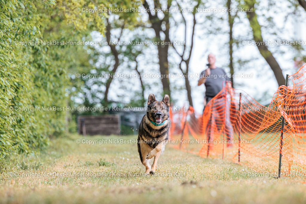 Sage Hunderennen Frühlingsfest-2026-Nickbest-Hundefotografie-0186 | Dein Hund! Dein Moment! Deine Erinnerungen! Hundefotografie in Bremen Blumenthal. Ich fange die besonderen Momente deines Vierbeiners ein – ob Indoor mit Blitzanlage oder in der freien Natur. Sicher dir dein Moment und dein Termin für eure Erinnerungen.