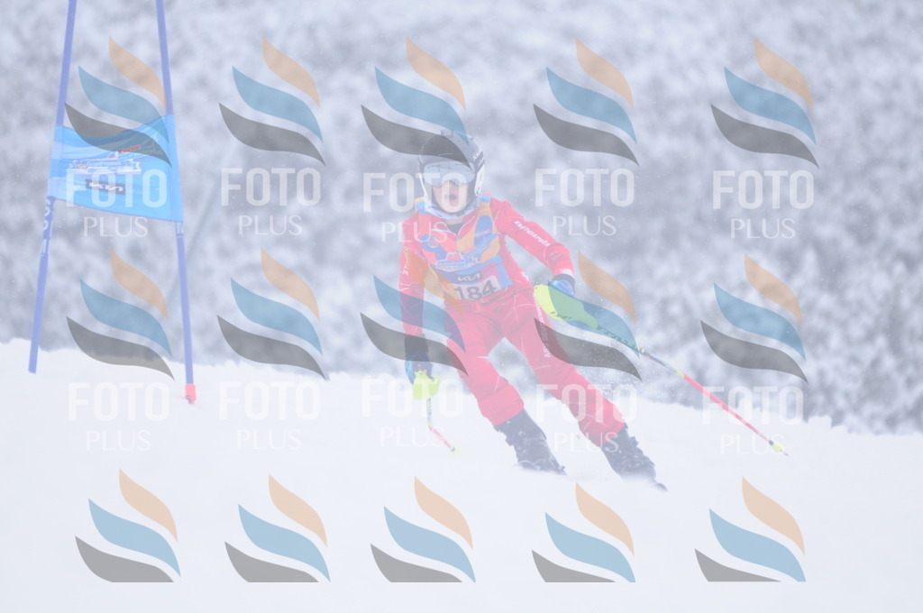 C2111 | holidayphoto