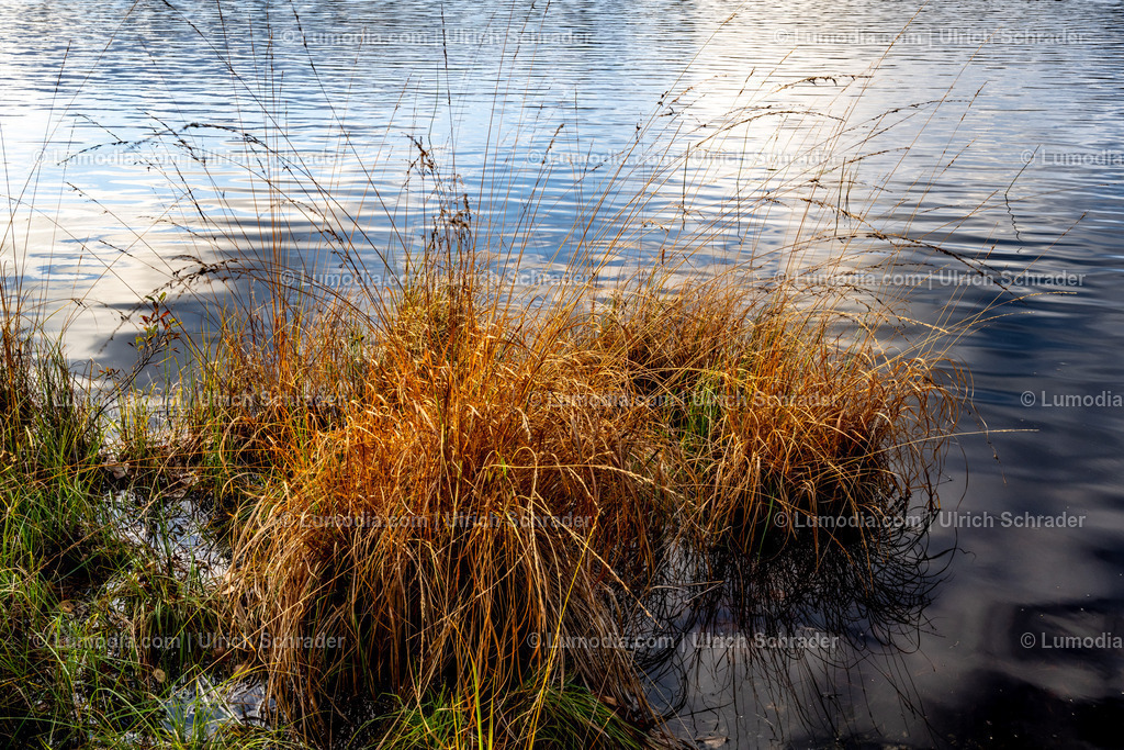 10047-10100 - Herbststimmung am See - Norwegen | Stockfoto und Bilderpool mit Bildmaterial aus Deutschland, dem Harz, Halberstadt, Quedlinburg, Wernigerode und weltweit. Qualitativ hochwertige und professionelle Fotos anschauen und kaufen. - Realisiert mit Pictrs.com