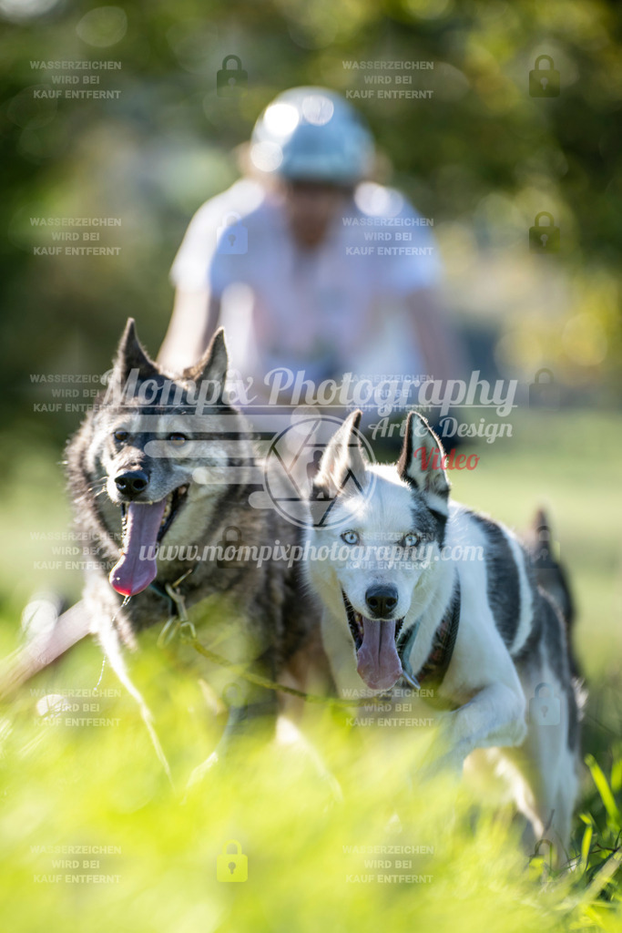 MompixPhotography_20TSB_E3_Kart-20 | PayLife