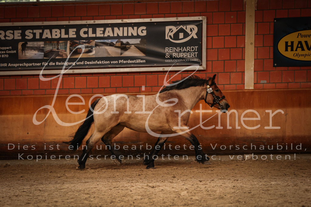 SaFL00321 | Leoni Ertmer Photography - Realisiert mit Pictrs.com