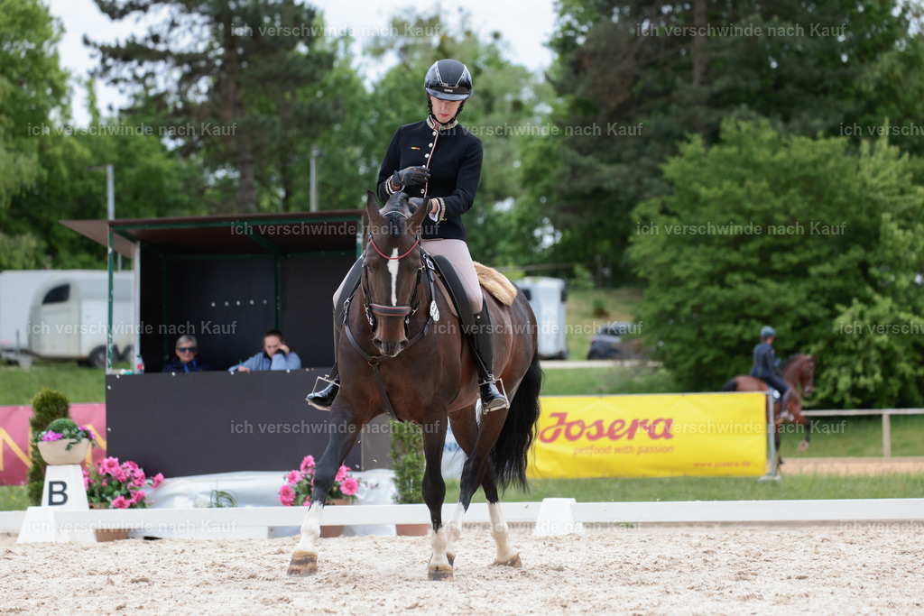 PI26_DR_261_StoibphotographyC2_L7734.jpg | working equitationturnier fotograf videograf stoibphotography marixx film working equitation deutschland reitsport turnierfotografie eventfotografie equestrian events