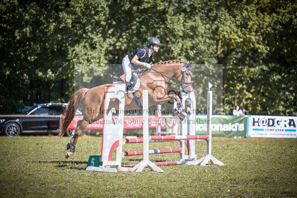 DOS_0331 | Entdecke hochwertige Reitturnierfotos von Foto Oger. Professionell, emotional und authentisch – jetzt Lieblingsmomente im Shop bestellen.Deutschlandweite Turnierfotografie. - Realisiert mit Pictrs.com