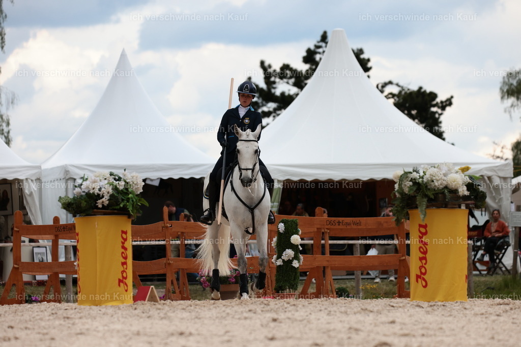 PI26_ST_StoibphotographyC2_L9049.JPG | working equitationturnier fotograf videograf stoibphotography marixx film working equitation deutschland reitsport turnierfotografie eventfotografie equestrian events