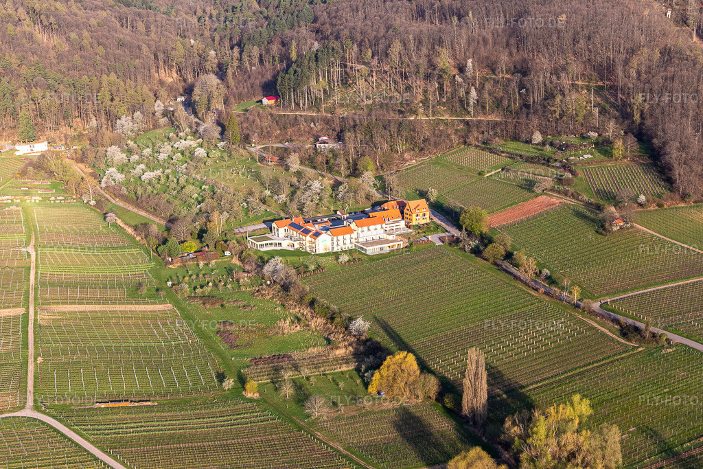 Luftbild: Wohlfühlhotel Alte Rebschule und Gasthaus Sesel im Frühling in Rhodt unter Rietburg im Bundesland Rheinland-Pfalz in Deutschland. Foto: IMG_126303.jpg vom 04.04.2021 durch Werner Riehm/FLY-FOTO.de