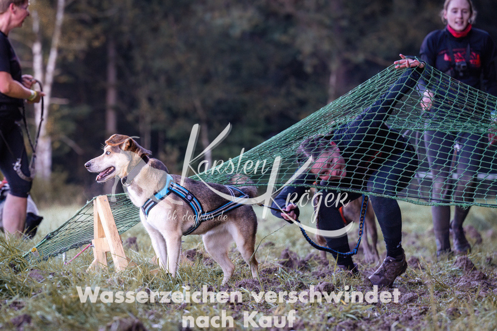 0856_ZZ91207 | kk-dogfotos