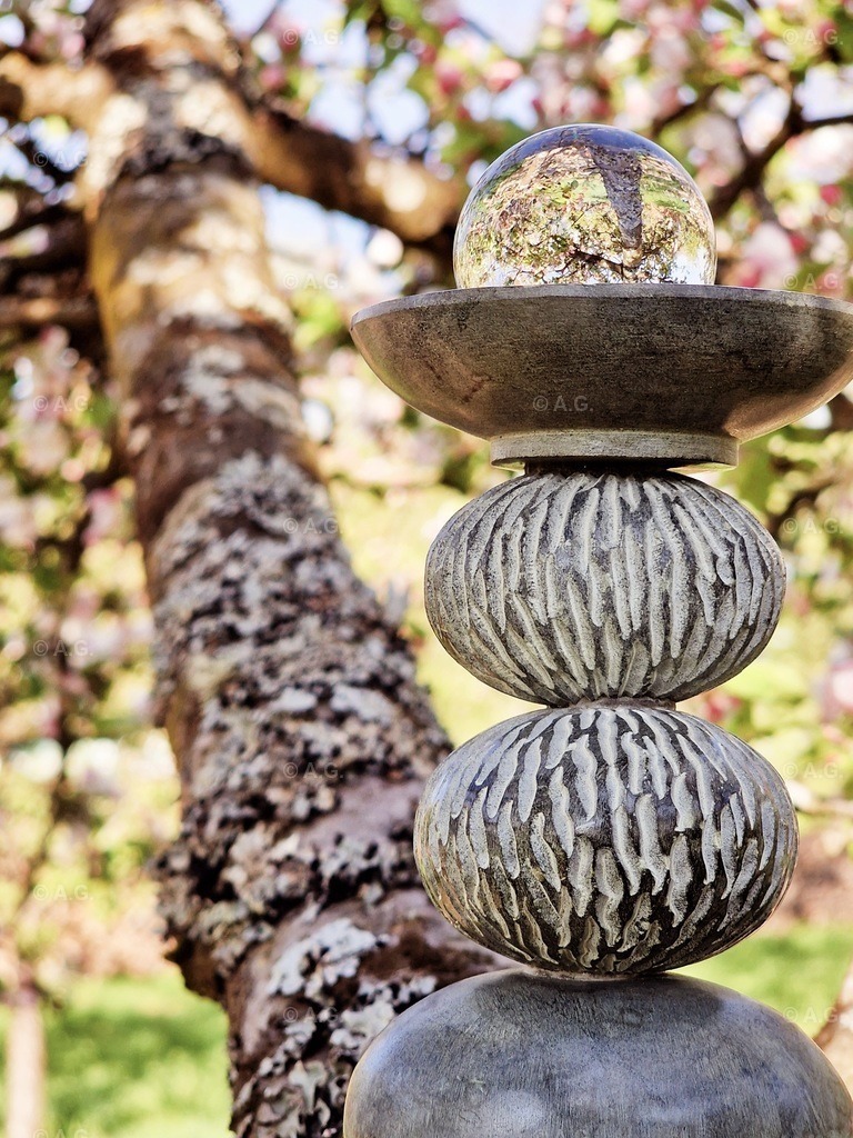 20220421_101702 | aileen-glaeser - Realisiert mit Pictrs.com