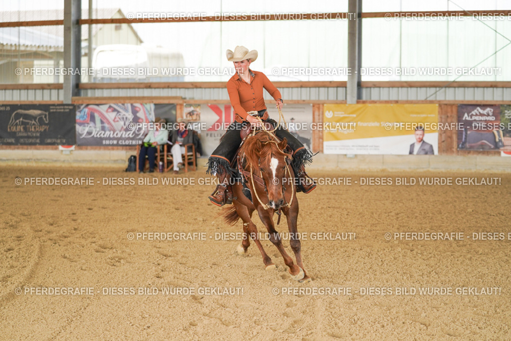 DSC02825 | Pferdegrafie