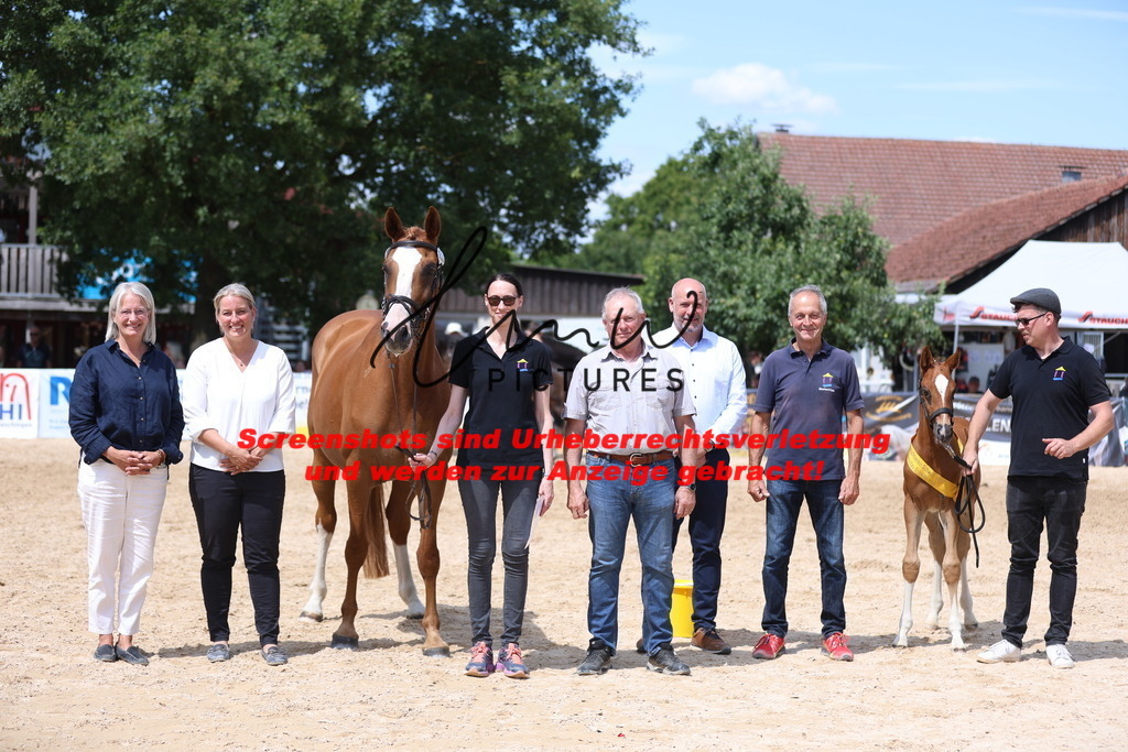 Fohlenschau_Schwäbisch_Hall_springbetonte_Fohlen_SIEGERFOHLEN_KN 22_11 | lmwpictures - Realisiert mit Pictrs.com