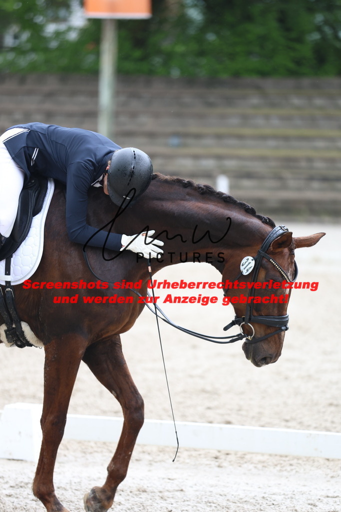 A40A8782 | lmwpictures - Realisiert mit Pictrs.com