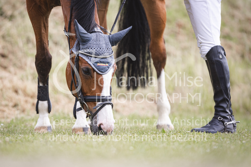 220611_LüPfSpTa_M2-Spr-427 | Lützower Pferdesporttage
Springprüfung Kl. M**
11.06.2022