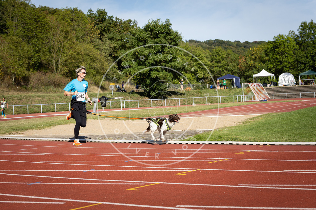 Pfotenfotografie_DV3A8432 | Hundefotografie, Tierfotograf, Pfotenfotografie, Fotoshooting Hund, Hunde Portrait, Hundesport, Hundeportraits, Heideshooting, Hunde, Sportfotograf, Hundefotograf, Turnierhundsport, THS,  - Realisiert mit Pictrs.com