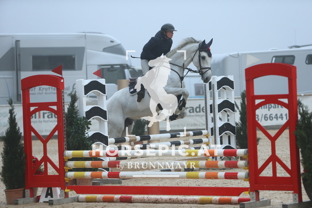 DL2Q8260 | Willkommen bei Brunnmayr - Design & Fotografie – Ihrem Spezialisten für Reitturniere und Pferdeveranstaltungen in Oberösterreich, Salzburg und Bayern! Seit über 17 Jahren sind wir leidenschaftlich dabei.