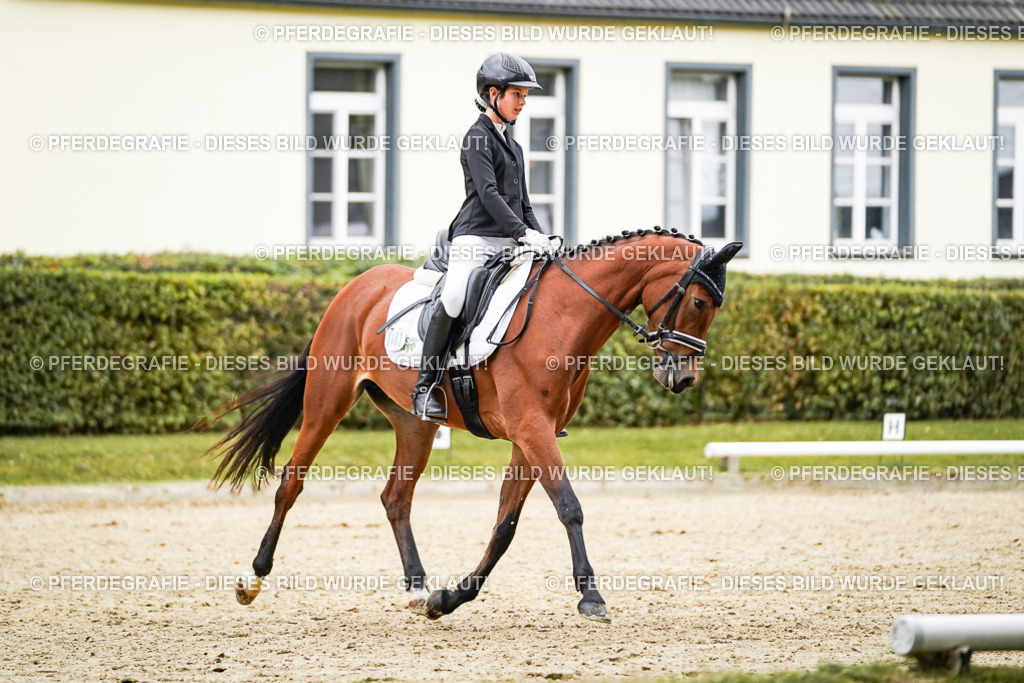 DSC07967 | Pferdegrafie