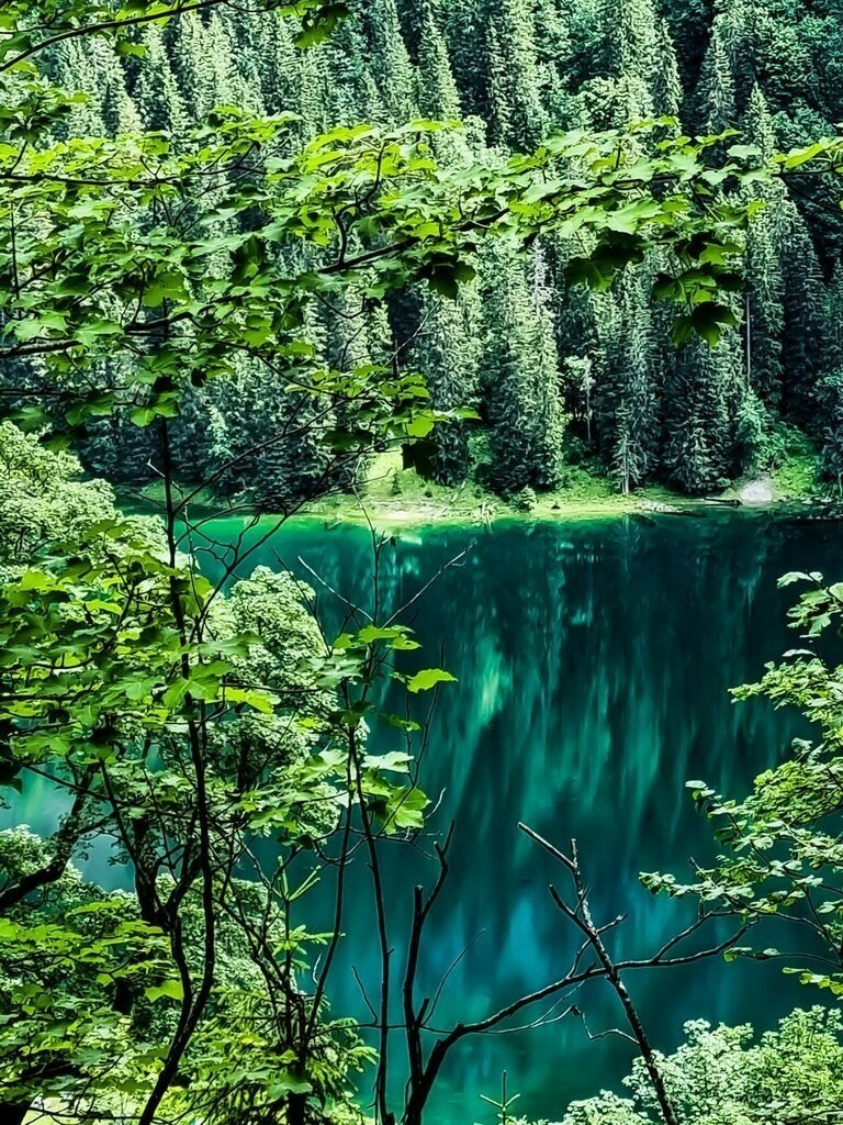 PSX_20210806_223918 | mtkfoto_ - Realisiert mit Pictrs.com