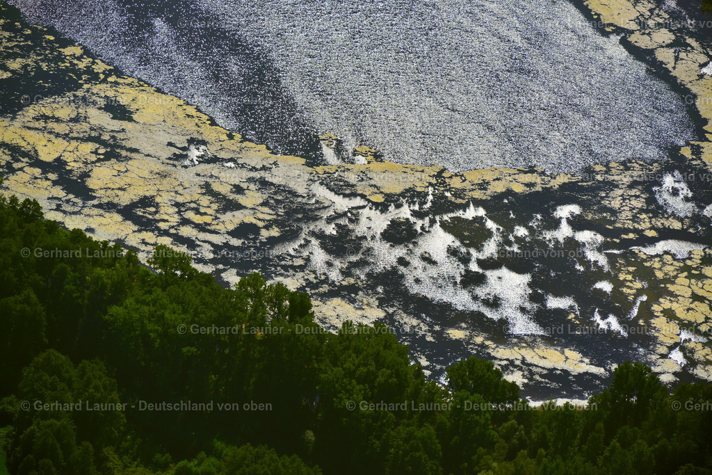 3637277 | Kossateich, Spreewald