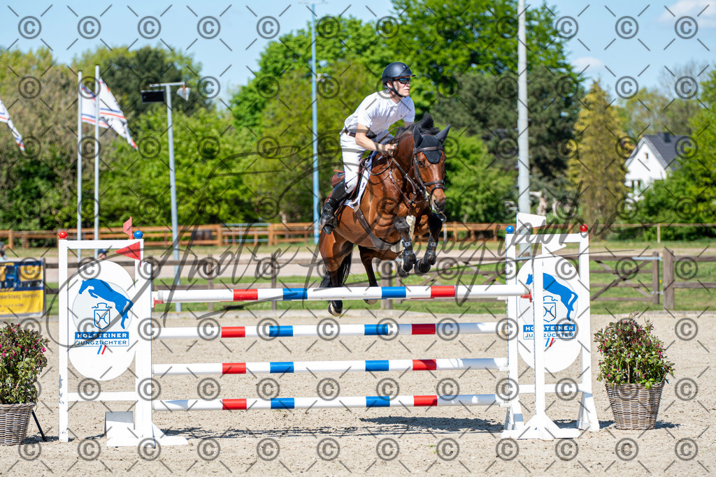 KPT_1197 | andre_photographic