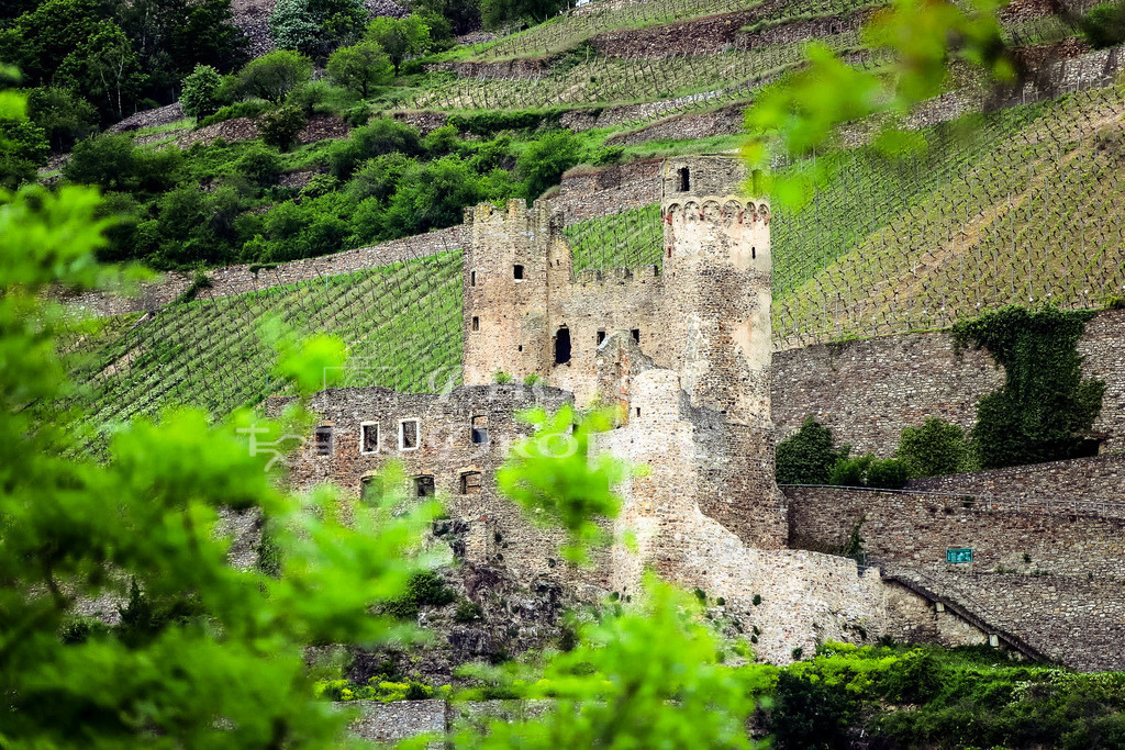 Ehrenfels-8796 | Ruine Burg Ehrenfels in Rüdesheim - Realisiert mit Pictrs.com