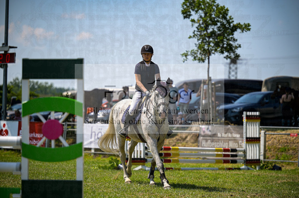 Reitturnier Voxtrup | Entdecke hochwertige Reitturnierfotos von Foto Oger. Professionell, emotional und authentisch – jetzt Lieblingsmomente im Shop bestellen.Deutschlandweite Turnierfotografie. - Realisiert mit Pictrs.com