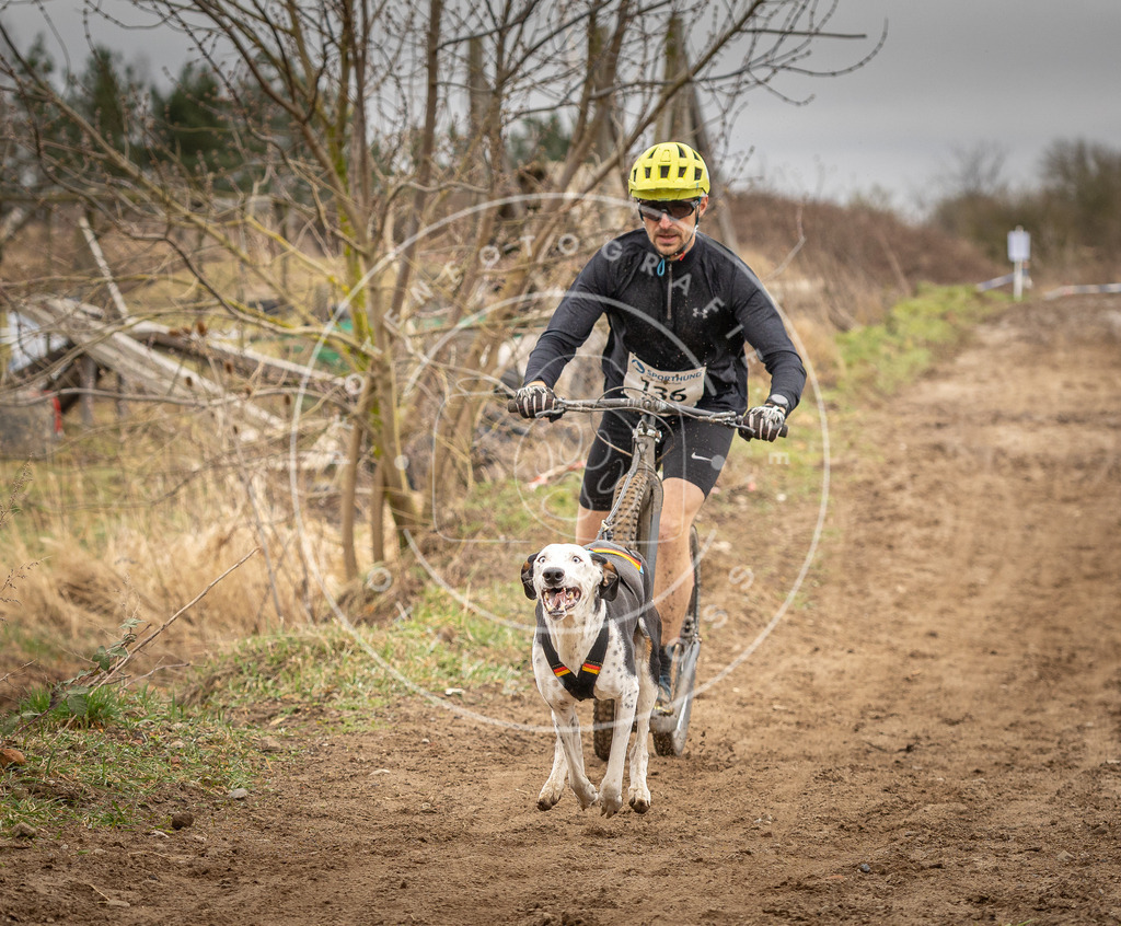 DV3A1328 | Hundefotografie, Tierfotograf, Pfotenfotografie, Fotoshooting Hund, Hunde Portrait, Hundesport, Hundeportraits, Heideshooting, Hunde, Sportfotograf, Hundefotograf, Turnierhundsport, THS,  - Realisiert mit Pictrs.com