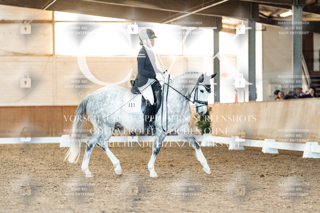 CK907759 | Turnierfotografie Pferdefotografie Trier Rheinland-Pfalz Pferdesport Reitsport Tierfotografie Sportfotografie Pferdevideo Pferdevideografie Equestrianvideography equestrianphotography  - Realized with Pictrs.com