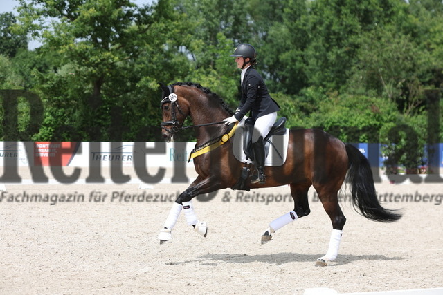 Weilheim_2024_Landeschampions_Dressurpferde (23) | Alle Fotos der Reiterjournal Fotografin Doris Matthaes im Reiterjournal Online-Fotoshop. - Realisiert mit Pictrs.com