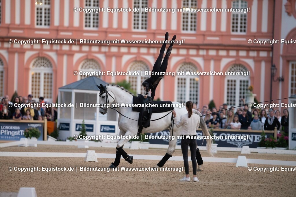 20230527_Voltigieren_NASPA_Flutlicht_0083 | equistock