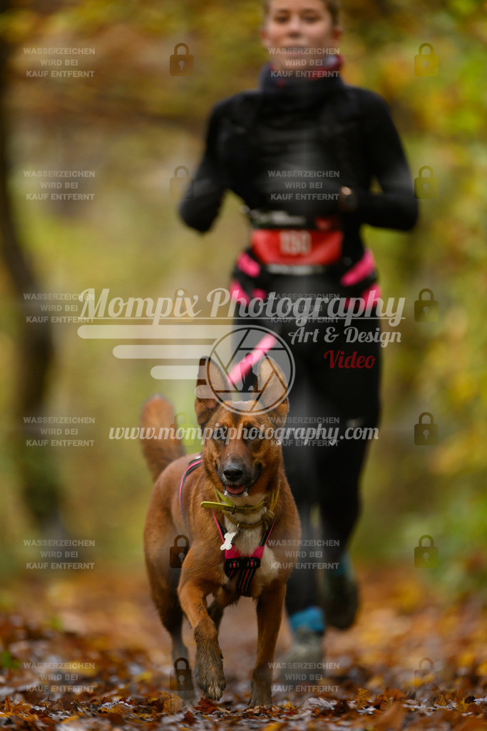 MompixPhotography_CD7S_DI_CCL-174 | mompixphotography