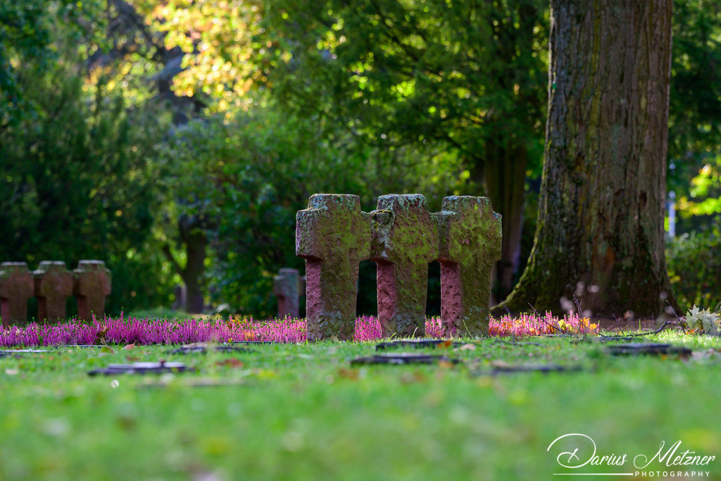 Der alte Hauptfriedhof in Mainz | Der alte Hauptfriedhof in Mainz