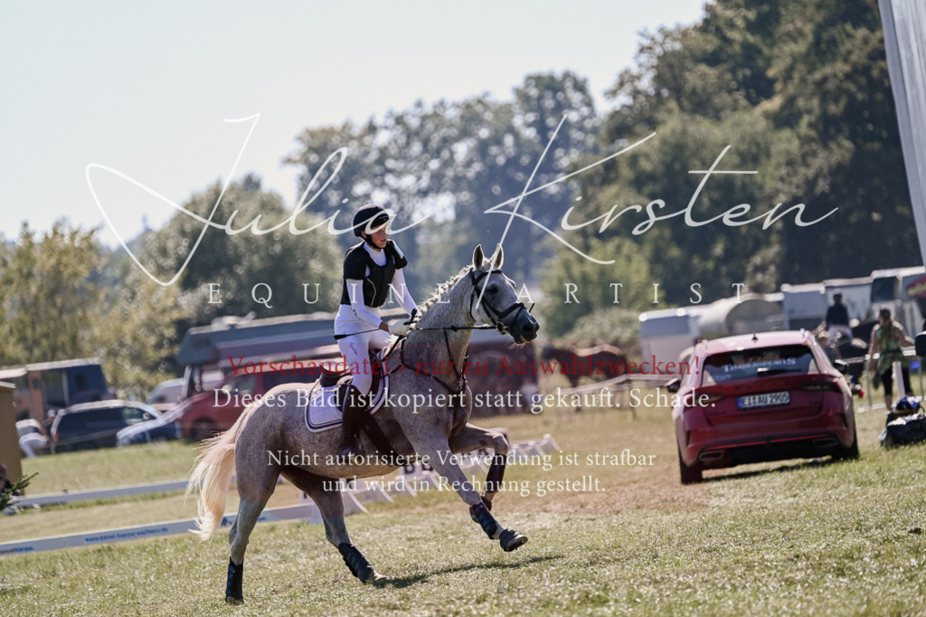DSC_3006 | Pferde- und Turnierfotografie in Westsachsen. Pferdeportraits, Auftragszeichnungen und intuitive Kunst.