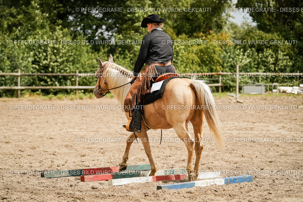 DSC00403 | Pferdegrafie