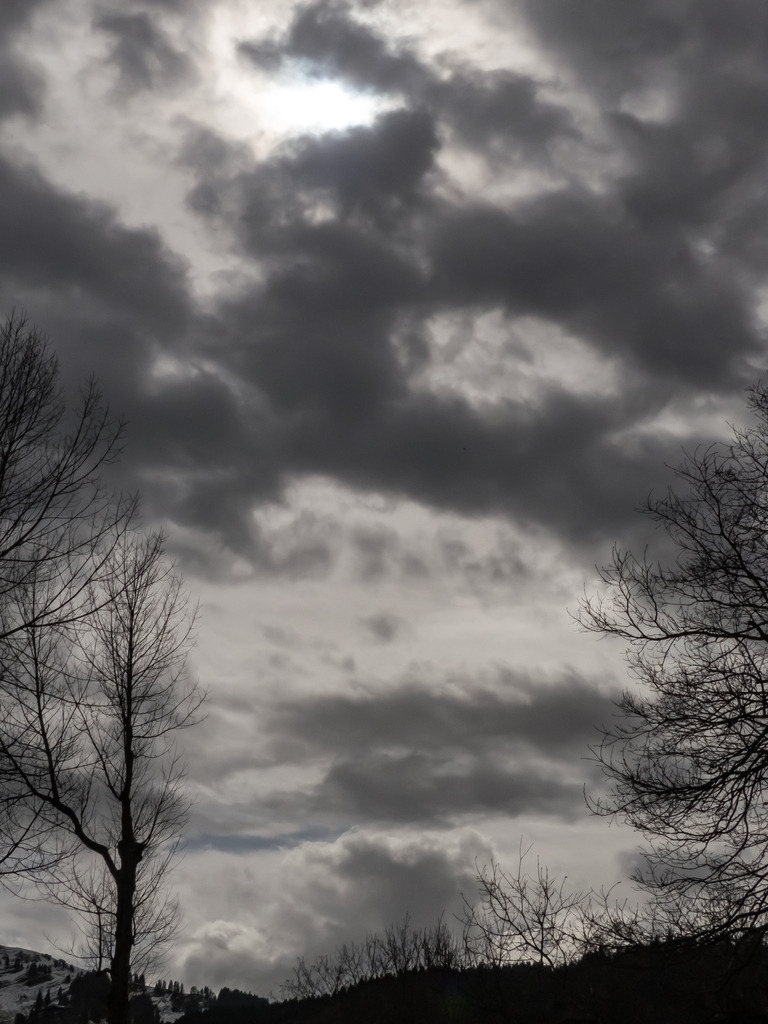 PSX_20230329_222040 | mtkfoto_ - Realisiert mit Pictrs.com