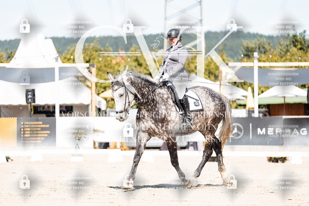 CK908983 | Turnierfotografie Pferdefotografie Trier Rheinland-Pfalz Pferdesport Reitsport Tierfotografie Sportfotografie Pferdevideo Pferdevideografie Equestrianvideography equestrianphotography  - Realisiert mit Pictrs.com