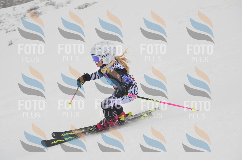 C1153 | holidayphoto