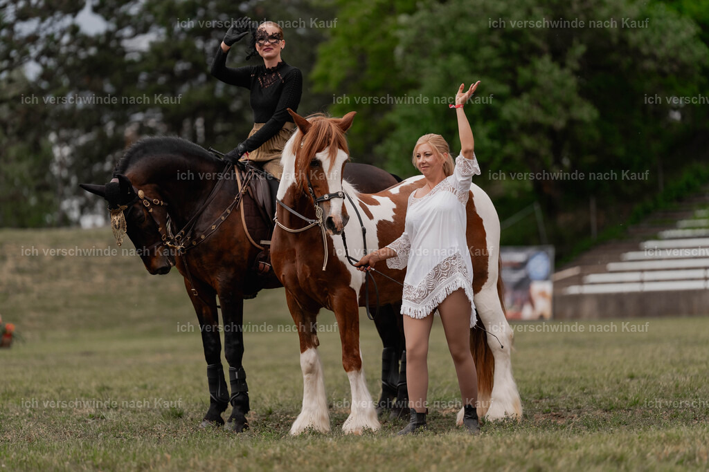 Showprogramm-450 | working equitationturnier fotograf videograf stoibphotography marixx film working equitation deutschland reitsport turnierfotografie eventfotografie equestrian events