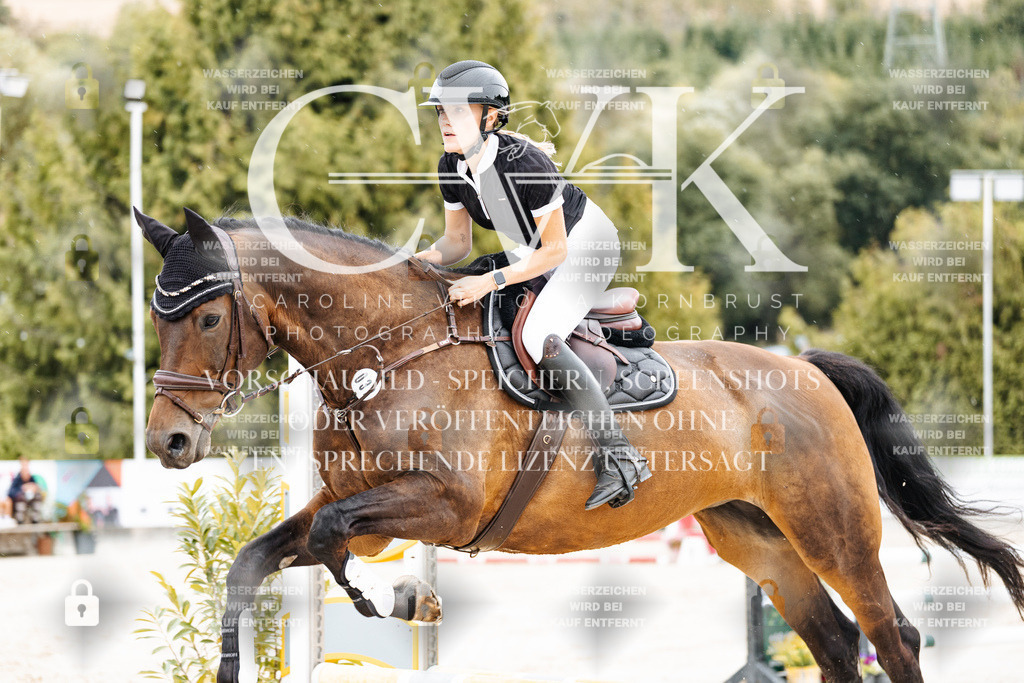 CK908496 | Turnierfotografie Pferdefotografie Trier Rheinland-Pfalz Pferdesport Reitsport Tierfotografie Sportfotografie Pferdevideo Pferdevideografie Equestrianvideography equestrianphotography  - Realisiert mit Pictrs.com