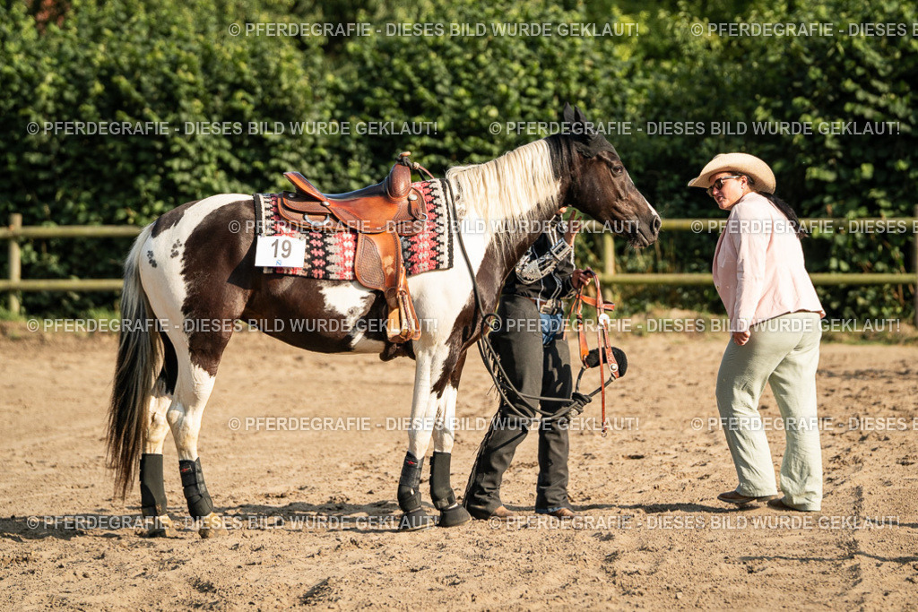 DSC05600 | Pferdegrafie