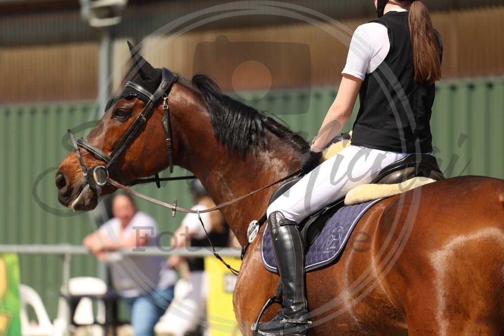 994A5763 | sabrinanicolaifotografie - Realisiert mit Pictrs.com