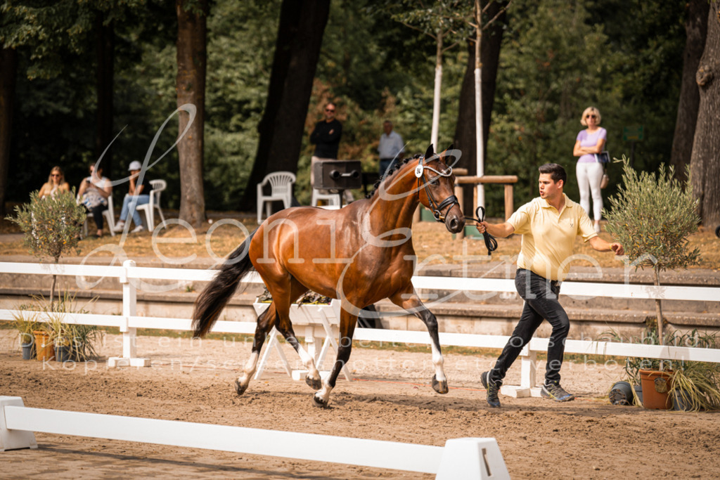 6.Fr00129 | Leoni Ertmer Photography - Realisiert mit Pictrs.com