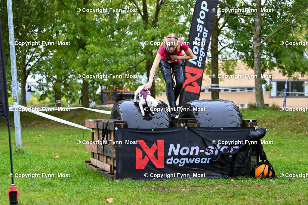 DSC_8654 | Hallo und herzlich Willkommen auf meiner Shop-Seite Fynn Most.

Ich wünsche Dir viel Spaß beim stöbern durch die Bilder, wenn Du Fragen hast oder Bilder vermisst, kannst du mir gerne eine Nachricht schreiben. - Realized with Pictrs.com