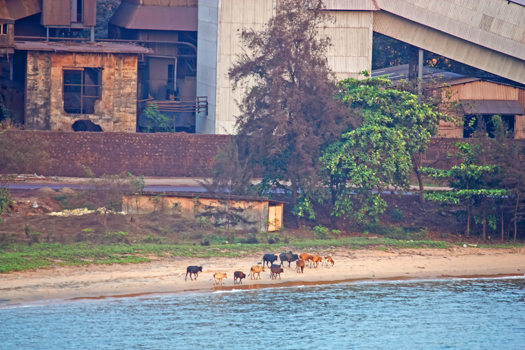 IMG_1241a | ansichtssache