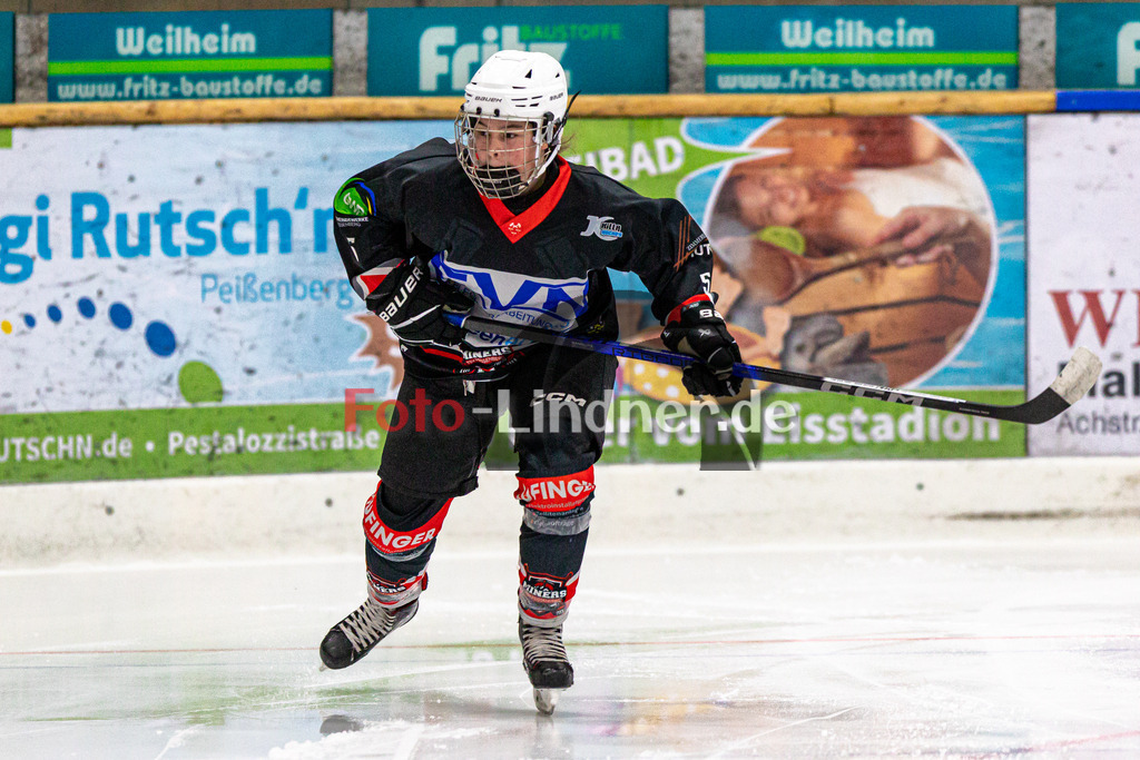 TSV Peißenberg Miners vs HC Landsberg | Eishockey Landesliga U15 2023/2024, TSV Peißenberg Miners vs HC Landsberg, 20240113,
,
2024-01-13 in Peißenberg (Eisstadion)

Copyright: WolfgangxLindner