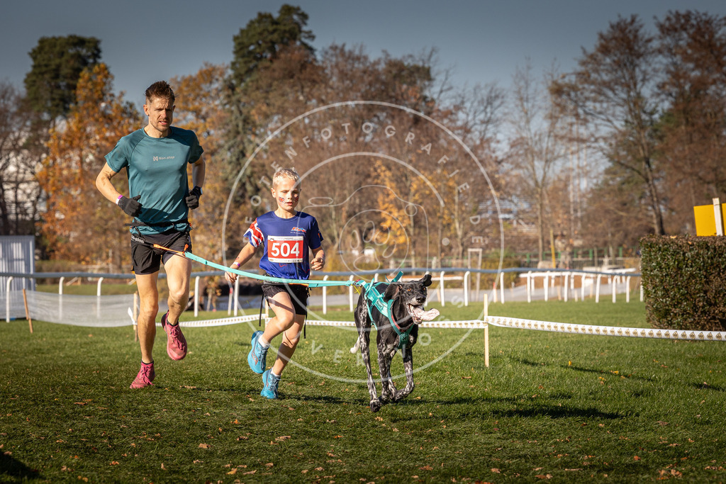CaniXpix_0L8A6603 | Hundefotografie, Tierfotograf, Pfotenfotografie, Fotoshooting Hund, Hunde Portrait, Hundesport, Hundeportraits, Heideshooting, Hunde, Sportfotograf, Hundefotograf, Turnierhundsport, THS,  - Realisiert mit Pictrs.com